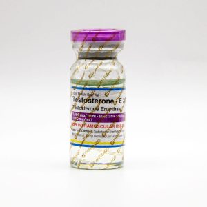 Testosterone-E 300 Pharmaqo Testosterone-E 300 Pharmaqo
